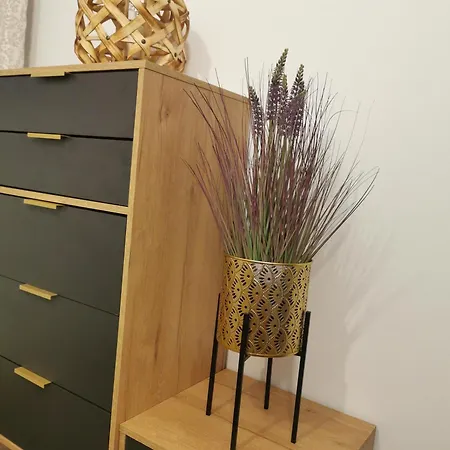 Woda Morska Apartament